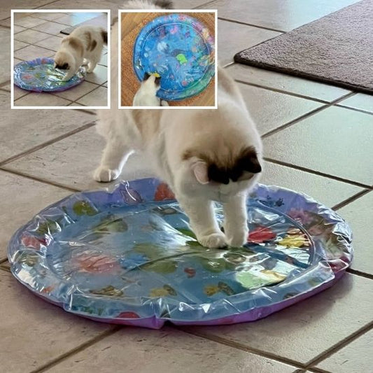 tapis-jeu-chat