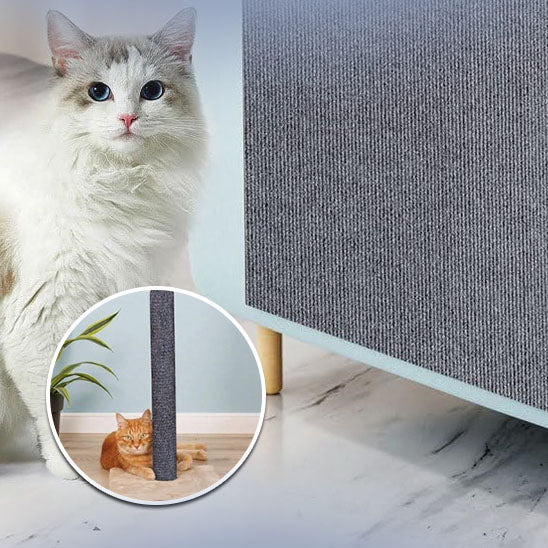 tapis-griffoir