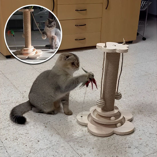 arbre-a-chat-plume