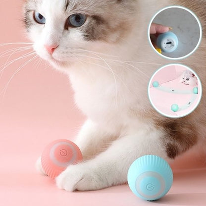 balle-interactive-chats