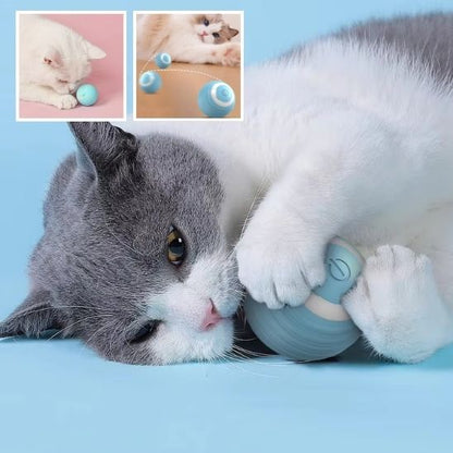 balle-interactive-chat