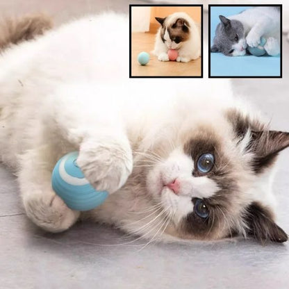 balle-interactive-chat
