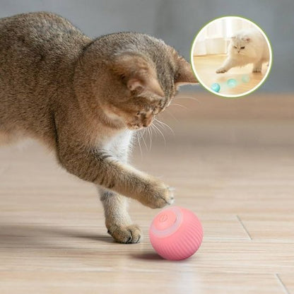 balle-interactive-chat
