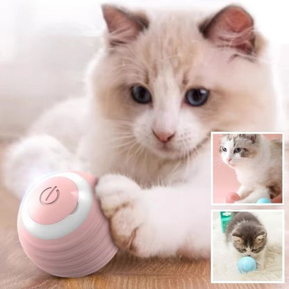 balle-interactive-chat
