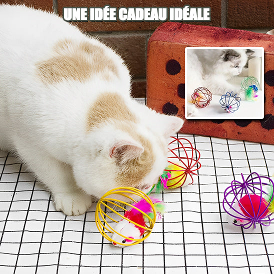 Balle pour chat