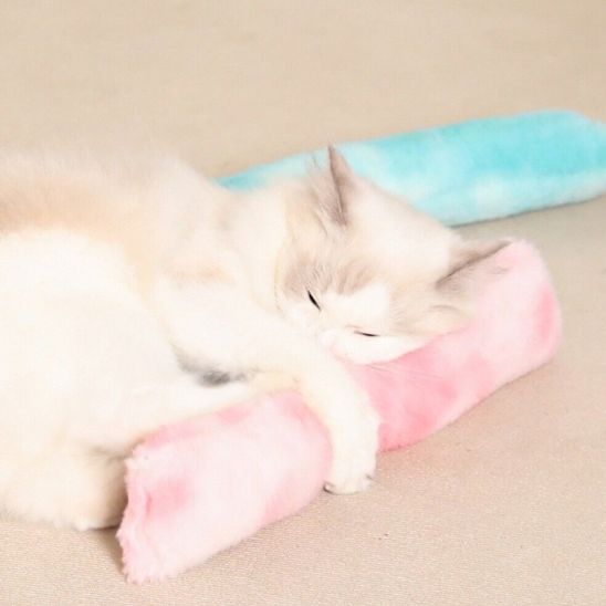 baton-pour-chat-catnip