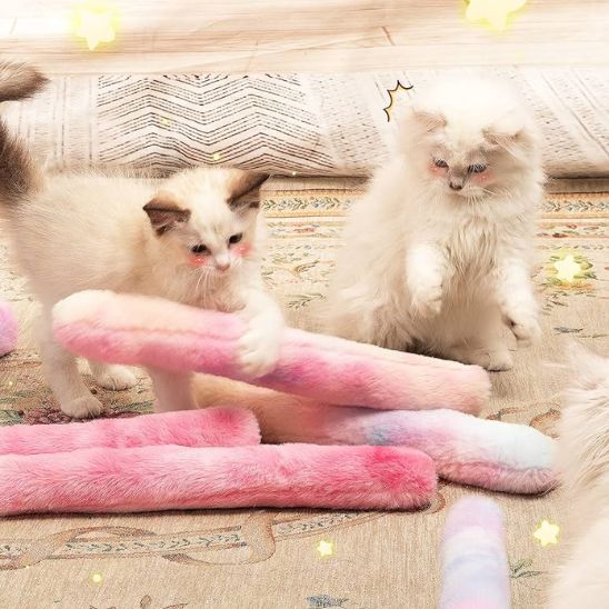 bton-pour-chat-catnip