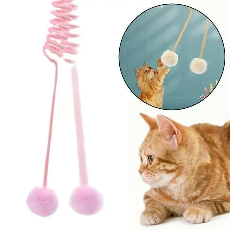 boule-a-ressort-chat