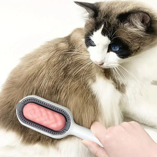brosse-chat