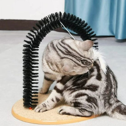 brosse-courbée-chat
