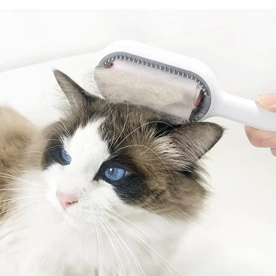 brosse-pour-chat
