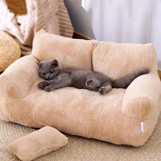 canape-lit-pour-chat
