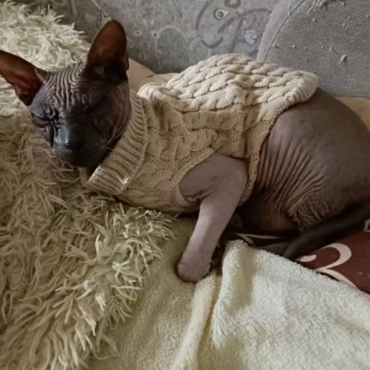chandail-pour-chat