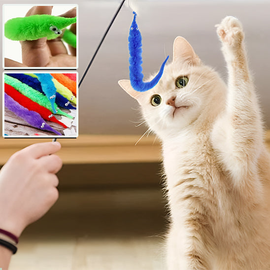chat-joue-avec-vers