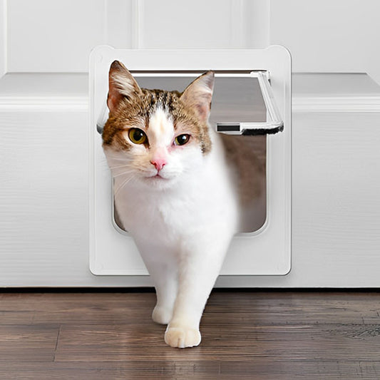 chatière pour chat