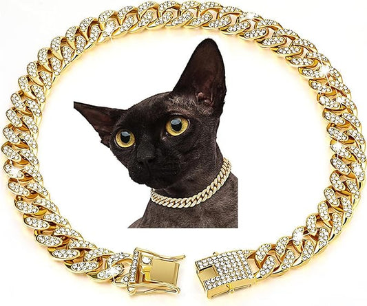 collier pour chats
