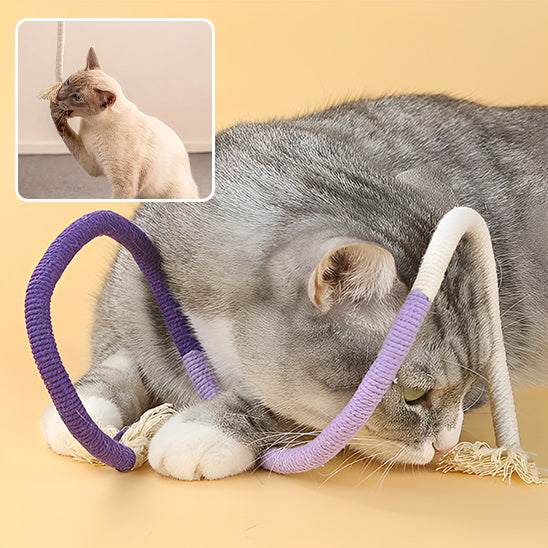 corde-de-morsure-chat