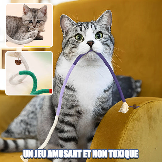 corde-de-morsure-pour-chat