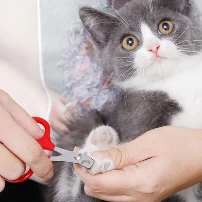 coupe-griffe-pour-chat