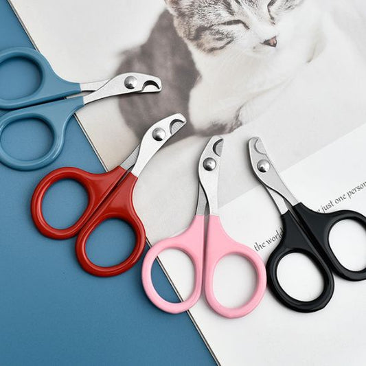 coupe-griffe-pour-chat
