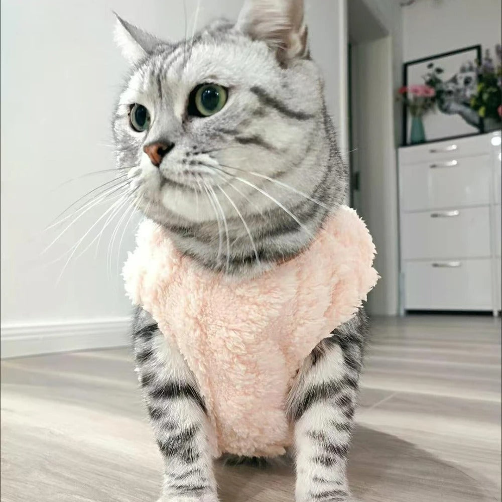 Chandail pour chat