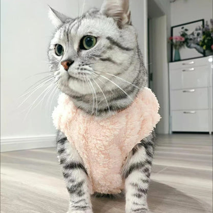 Chandail pour chat