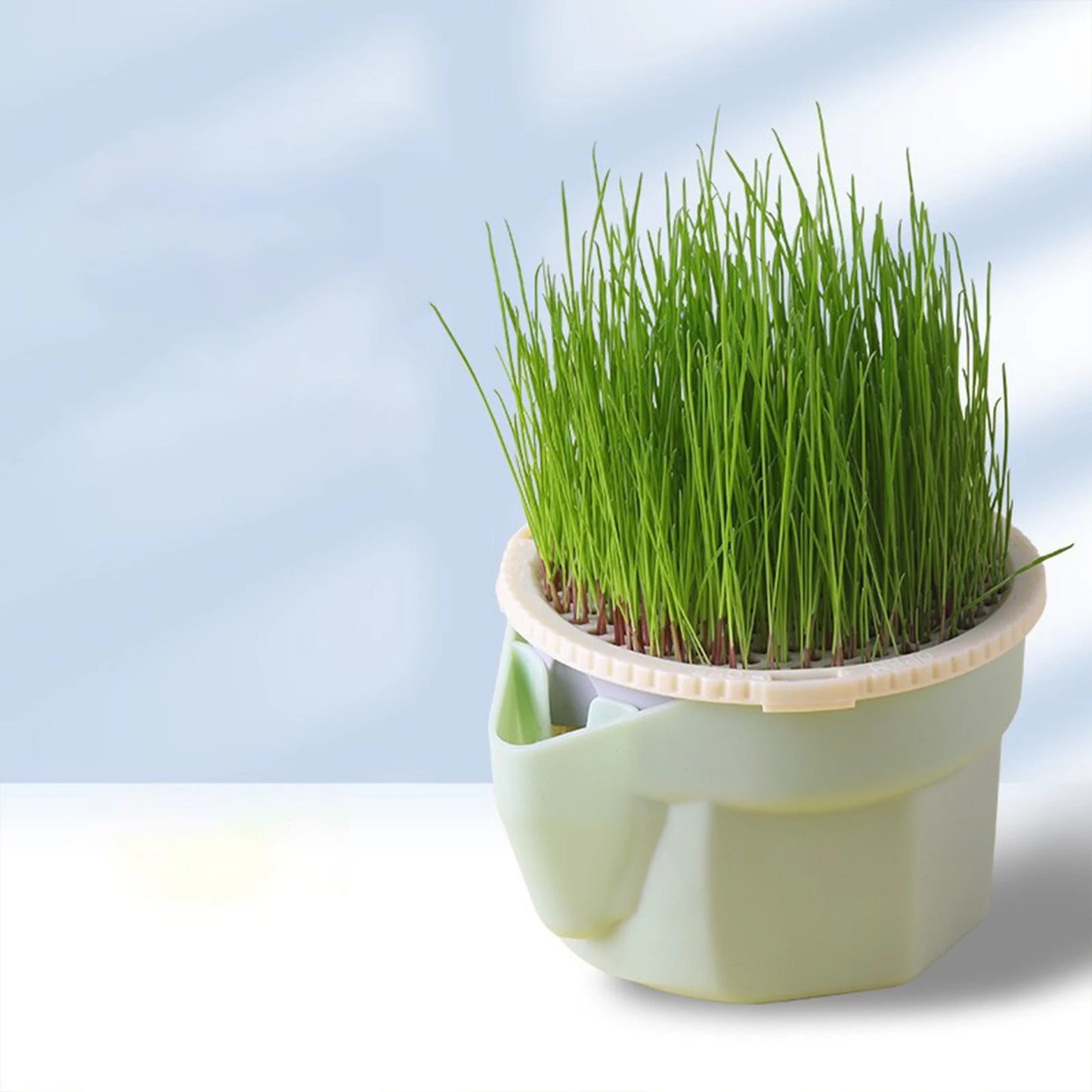 PotANip™ | Germoir pour herbe à chat