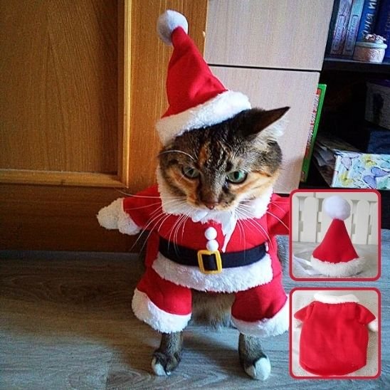 Déguisement pour chat