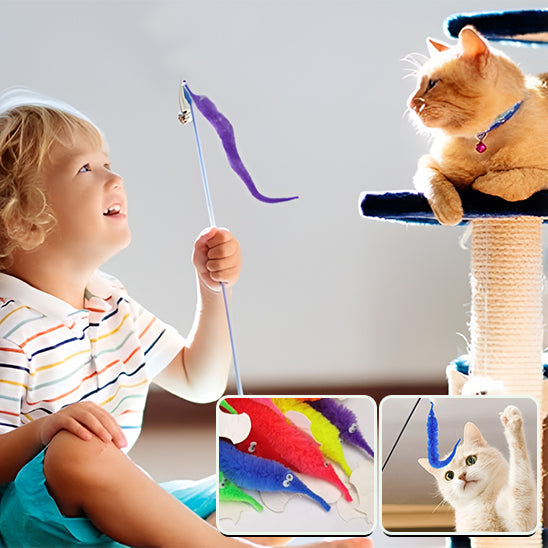 enfant-taquine-vers-chat