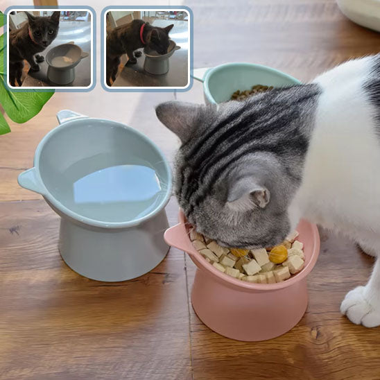 gamelle-chat