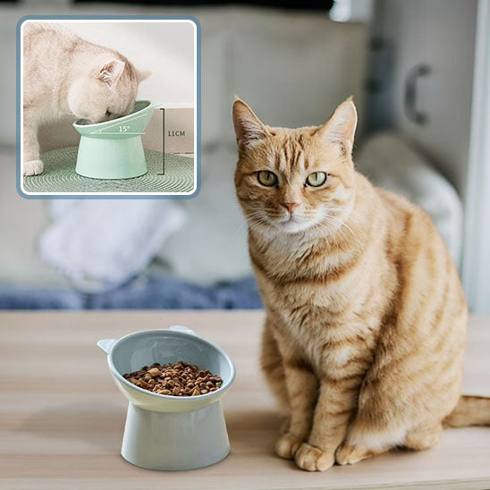 gamelle-surélevée-chat