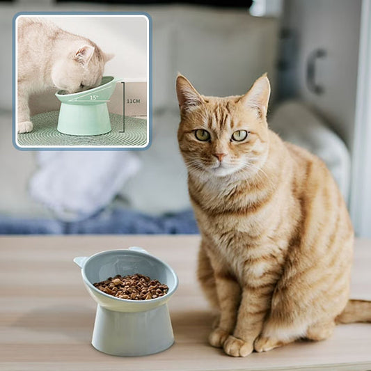 gamelle-surélevée-chat