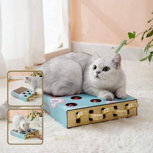 grattoir-chat