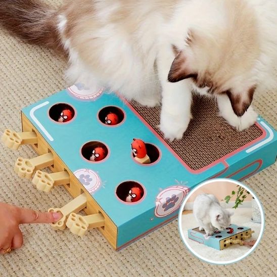 grattoir-et-jouet-pour-chat