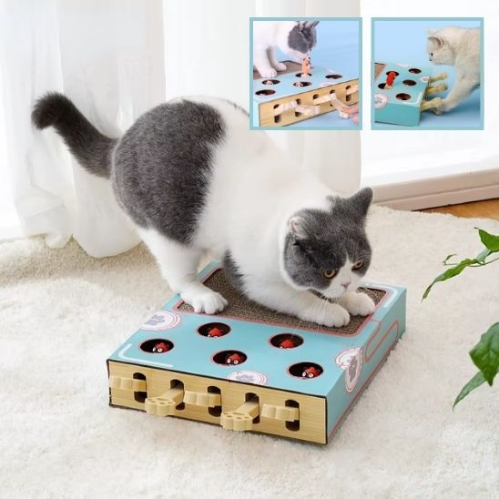 grattoir-chat