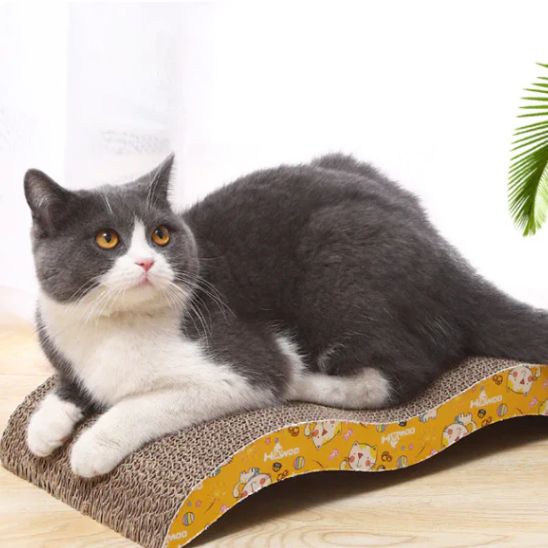 grattoir-pour-chat