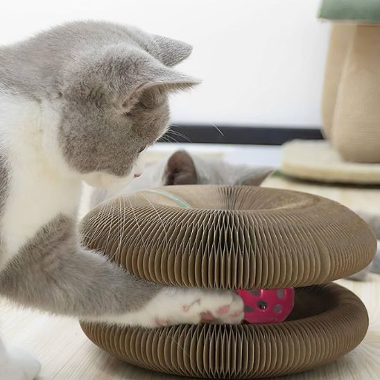 griffoir-pour-chat