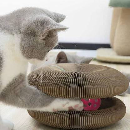 griffoir-pour-chat