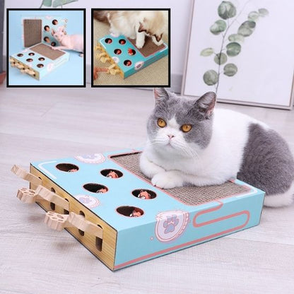 griffoir-chat
