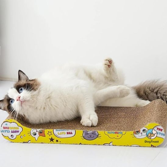 griffoir-pour-chat