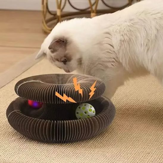 griffoir-pour-chat