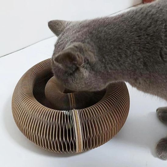griffoir-pour-chat