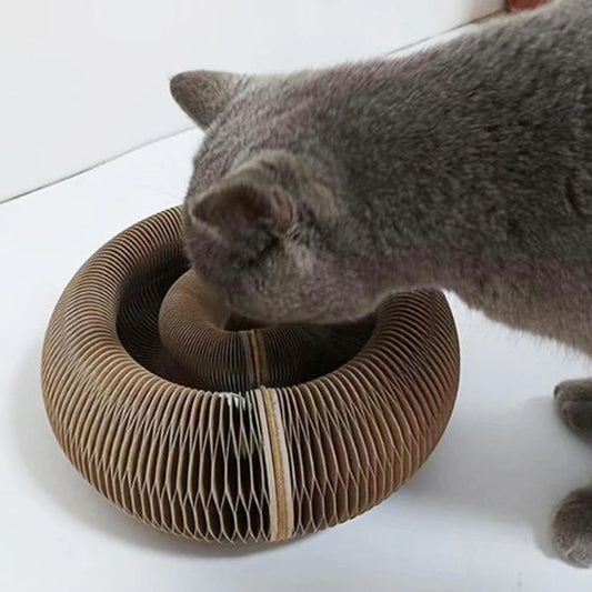 griffoir-pour-chat
