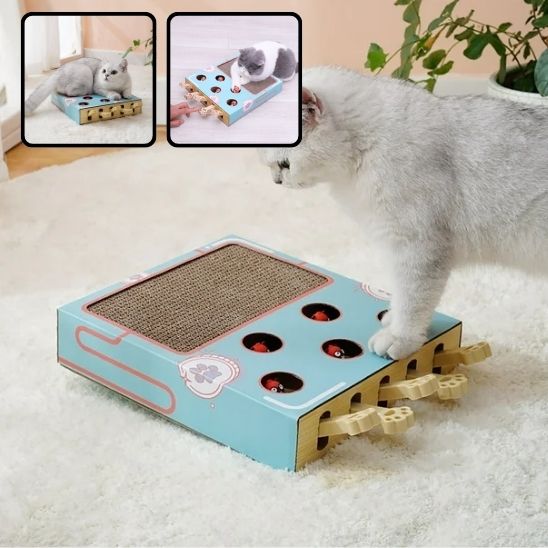 griffoir-jouet-chat