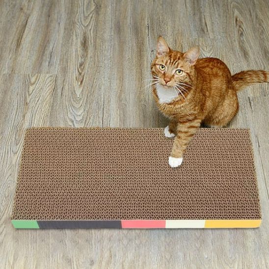 griffoir-pour-chat