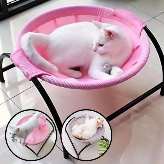 hamac-chat-rose