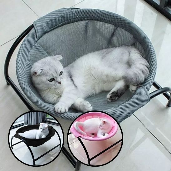 hamac-chat-gris