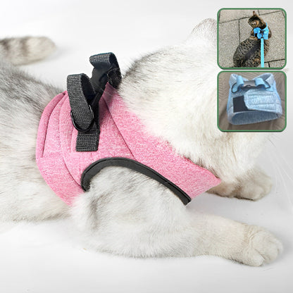 harnais pour chat