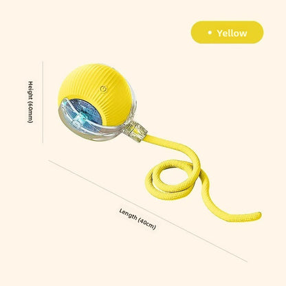Jeu Chat - CatToysBall™