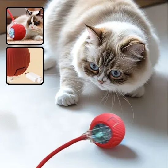 Jeu Chat - CatToysBall™